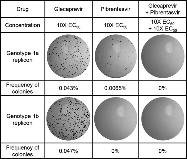 FIG 2