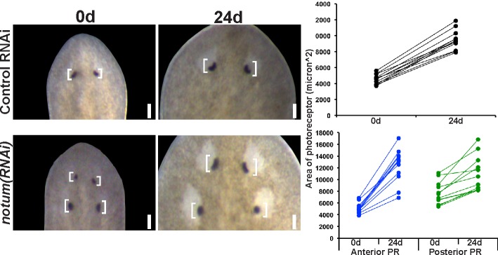 Figure 2—figure supplement 2.