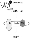FIG. 11