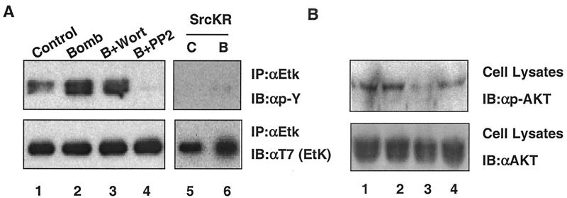 FIG. 9