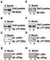 FIG. 10