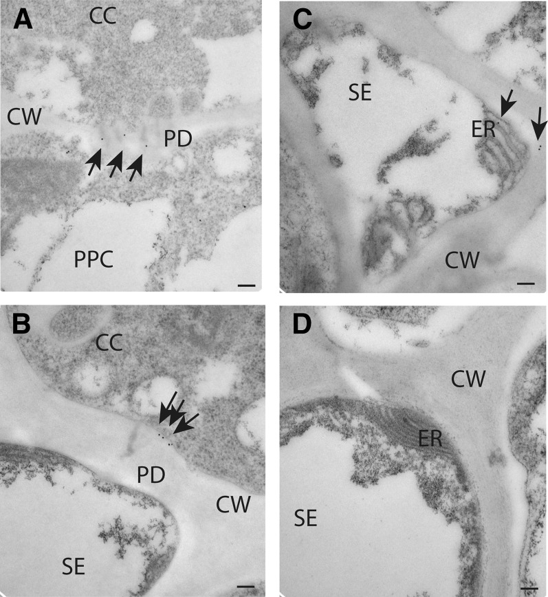 Figure 10.