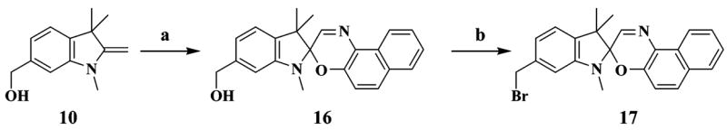 SCHEME 3