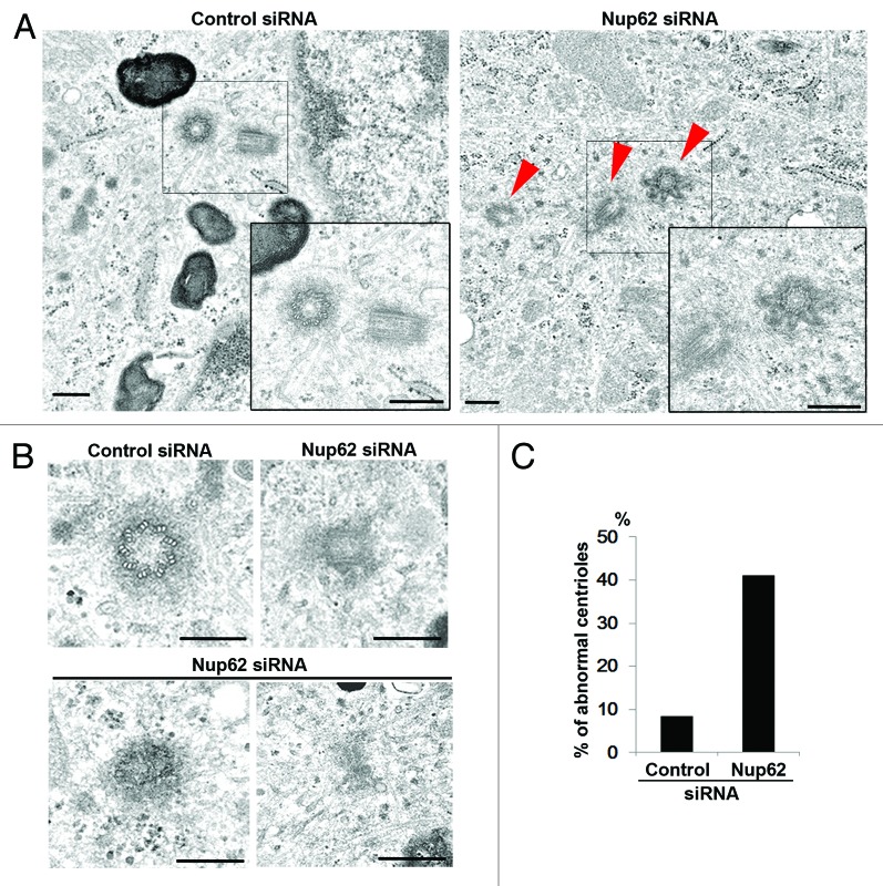 Figure 2.