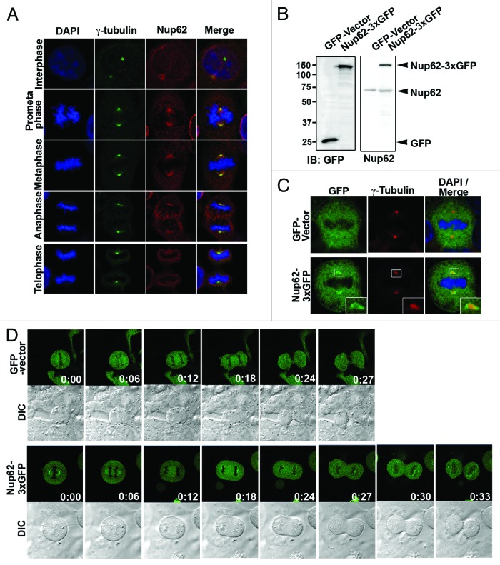 Figure 4.