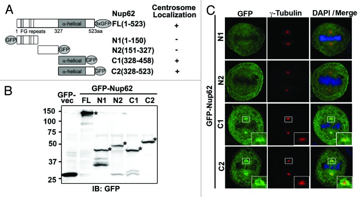 Figure 5.