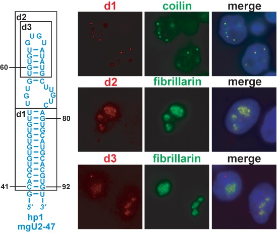 Figure 4.