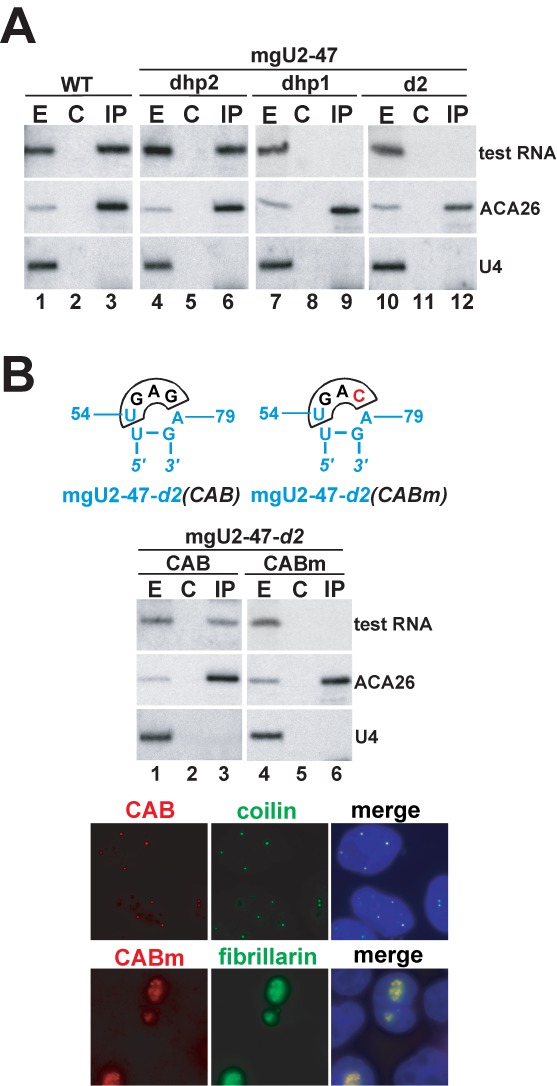 Figure 7.