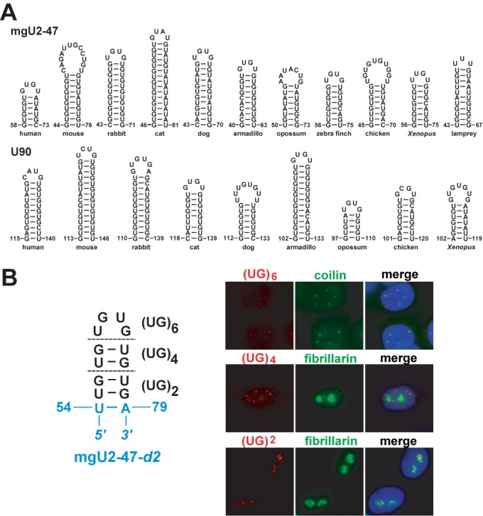 Figure 6.