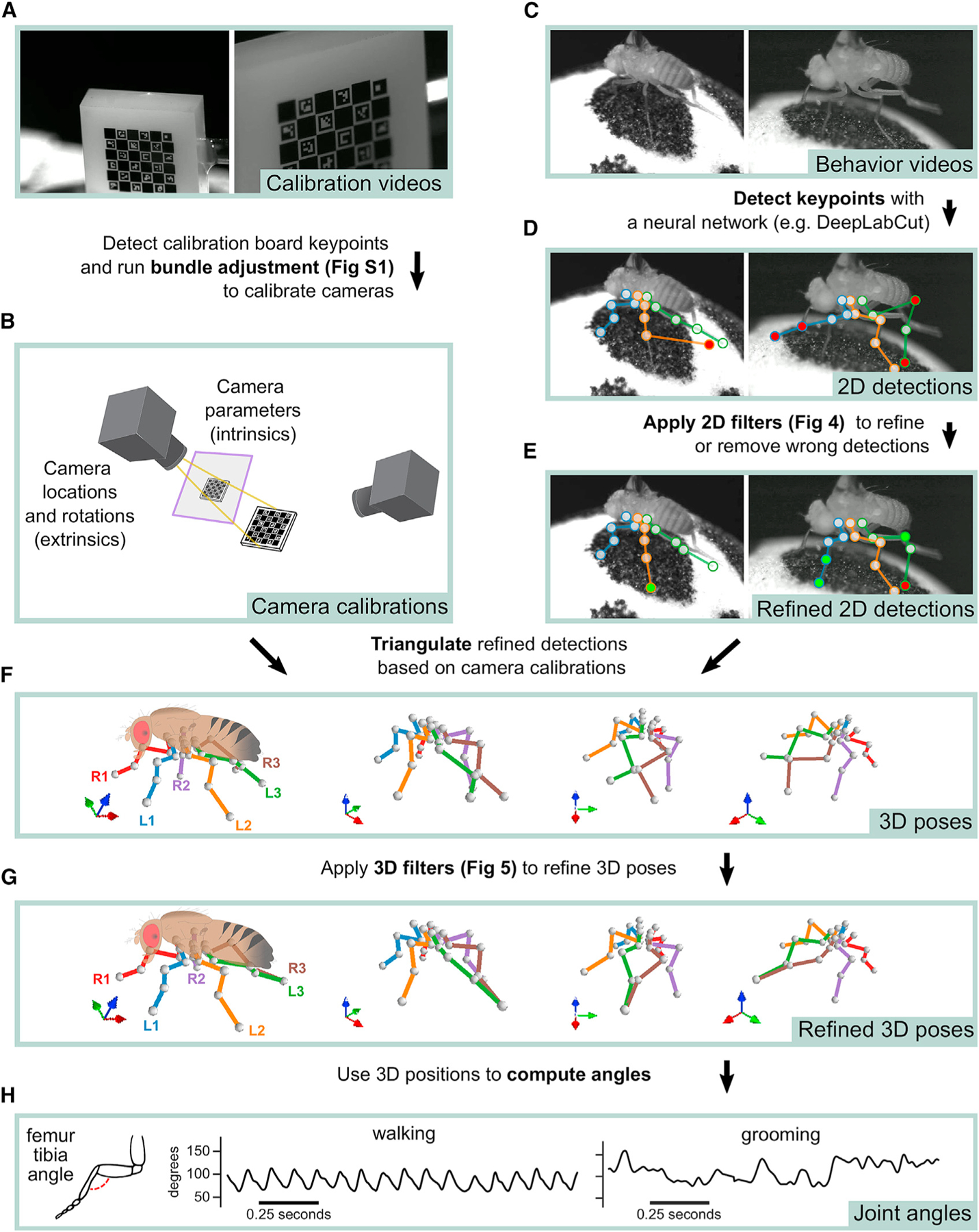 Figure 2.