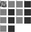 Fig 13
