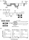 FIG. 1