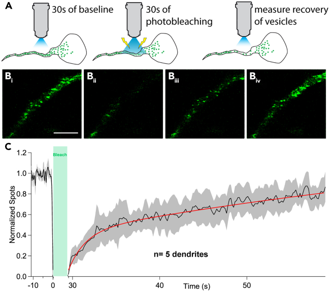 Figure 3