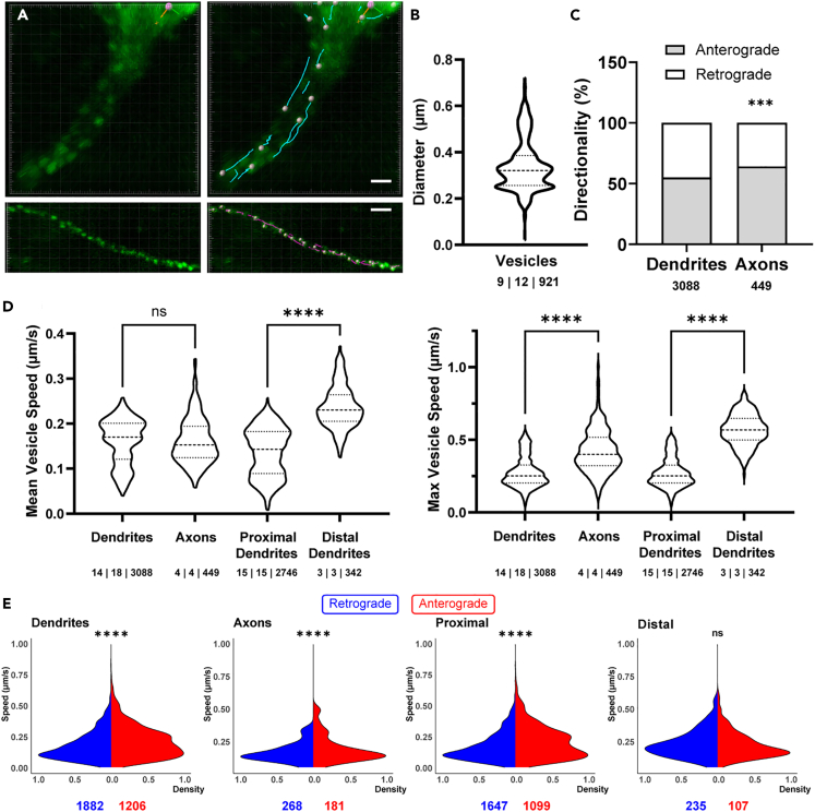 Figure 2