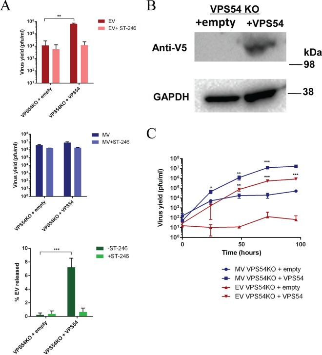 FIG 6