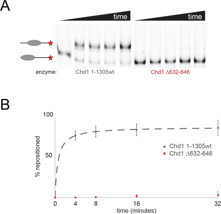 Figure 2—figure supplement 5.