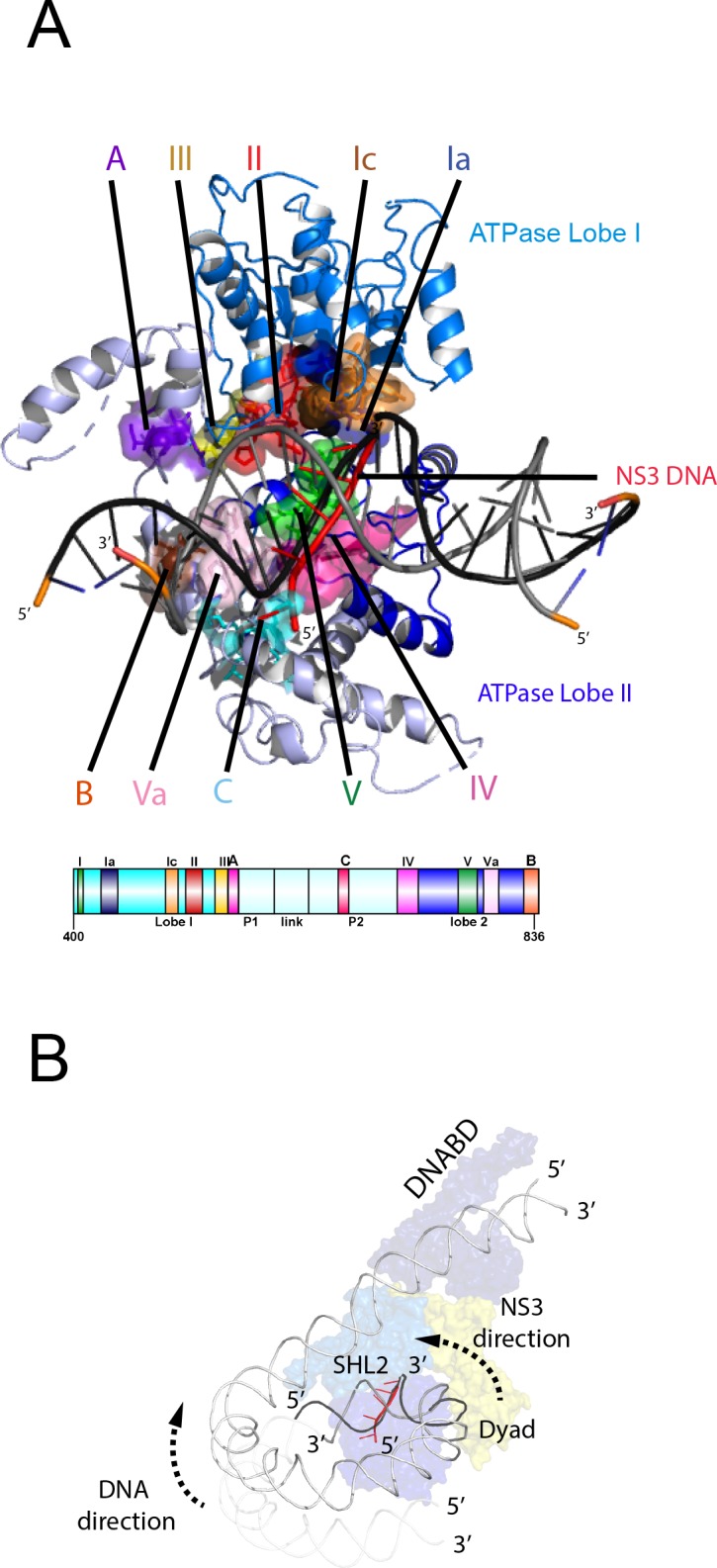 Figure 6.