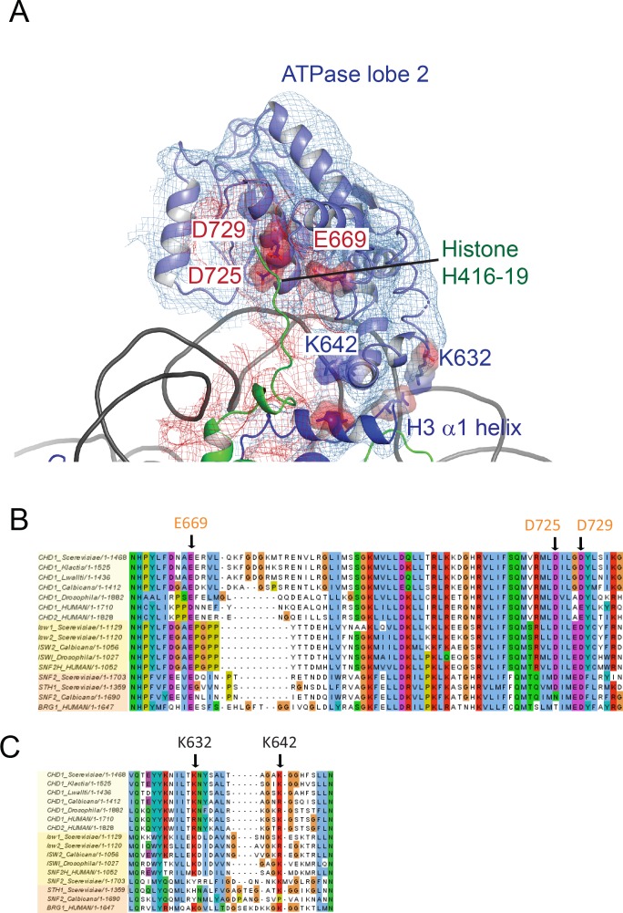 Figure 2—figure supplement 4.