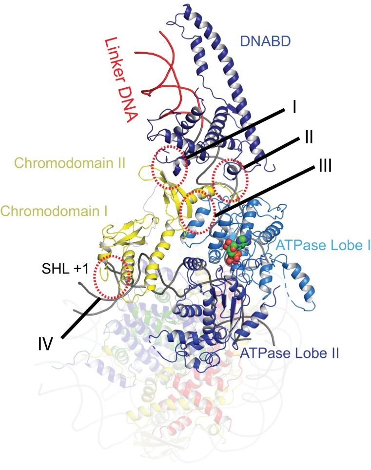 Figure 2.