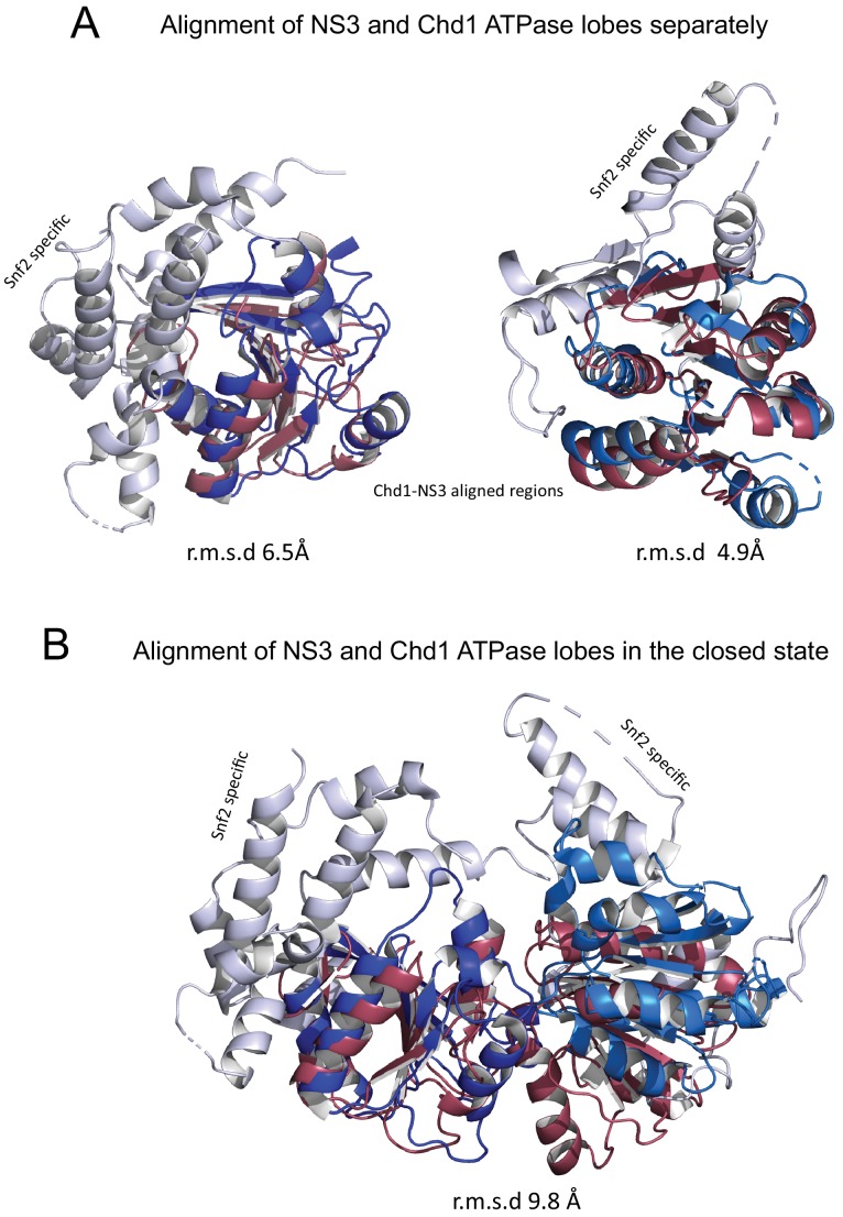 Figure 6—figure supplement 1.