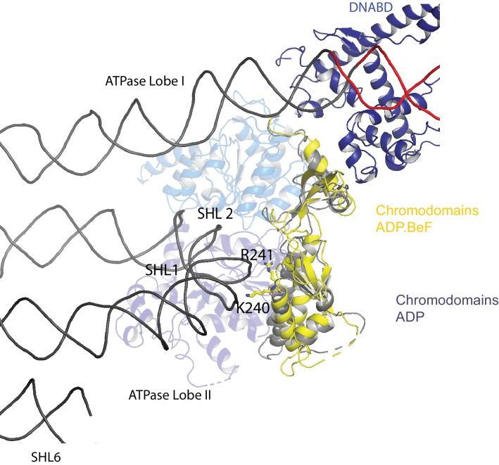 Figure 2—figure supplement 2.