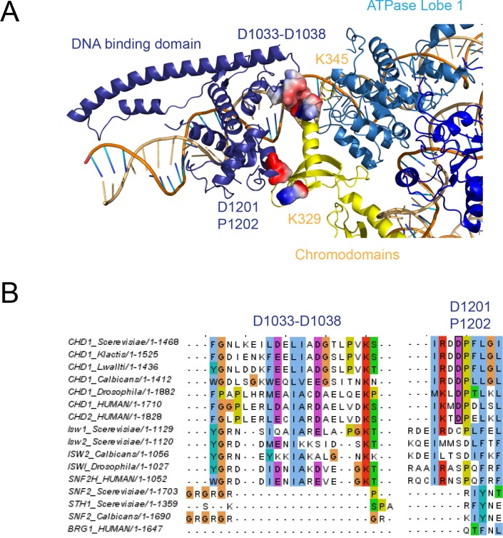 Figure 2—figure supplement 1.