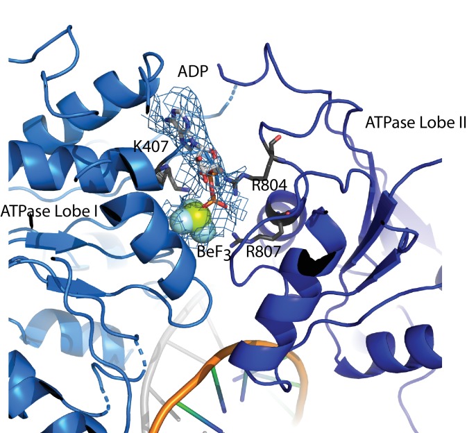 Figure 2—figure supplement 3.