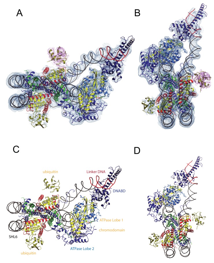 Figure 1.