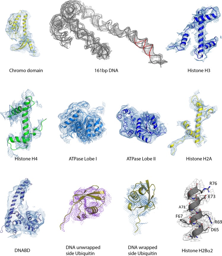 Figure 1—figure supplement 5.