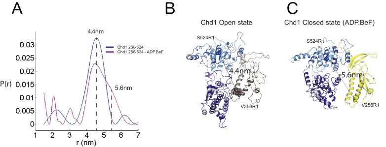 Figure 4.