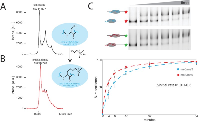 Figure 1—figure supplement 1.