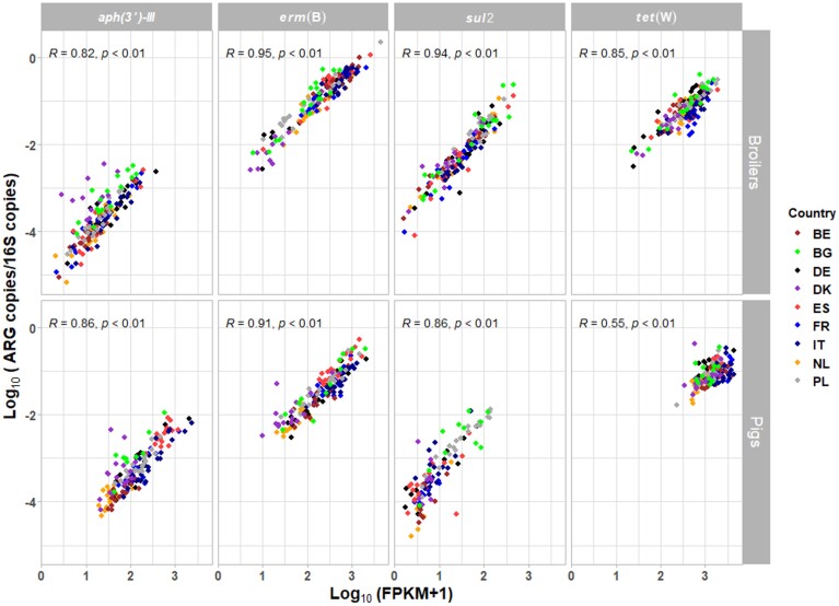 Figure 6.