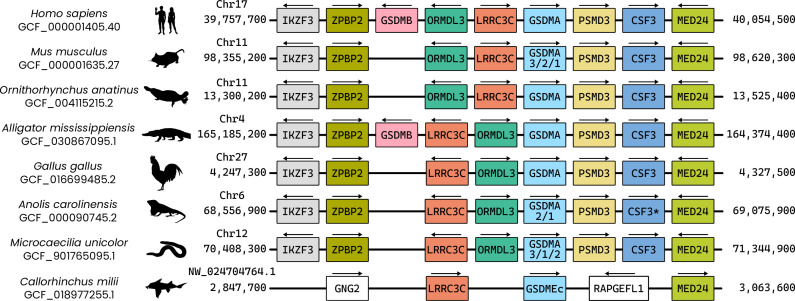 Figure 1—figure supplement 4.