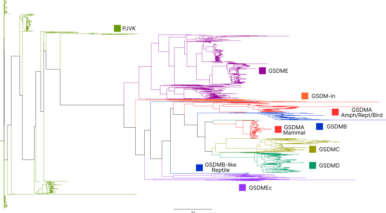 Figure 1—figure supplement 3.