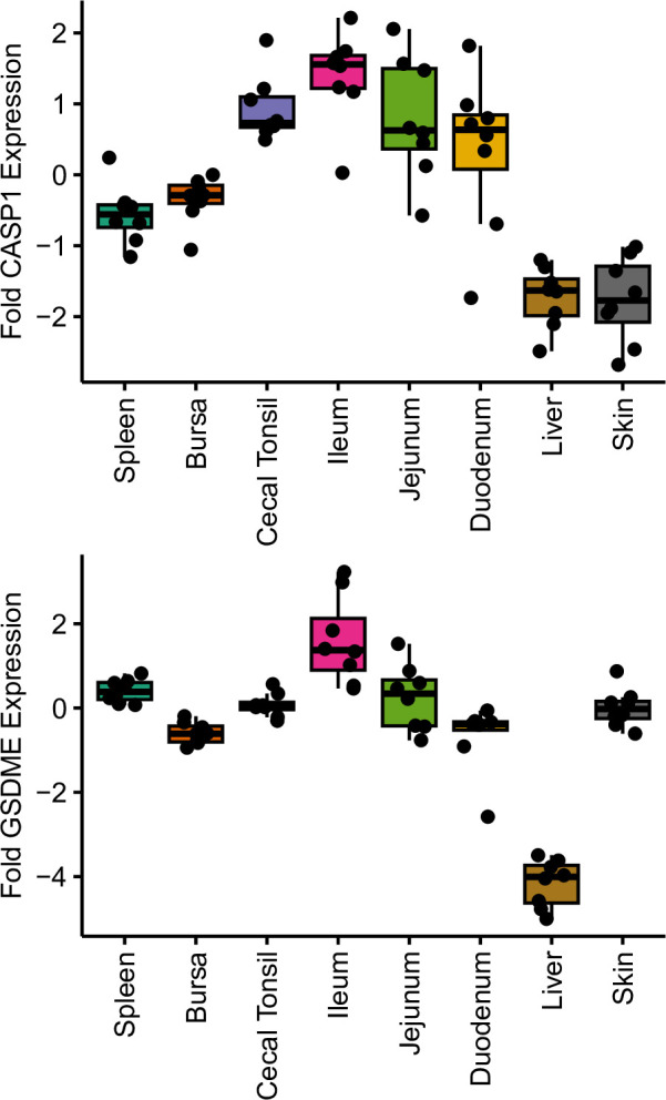 Figure 3—figure supplement 1.