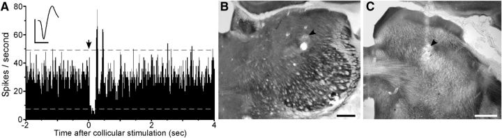 Figure 10.