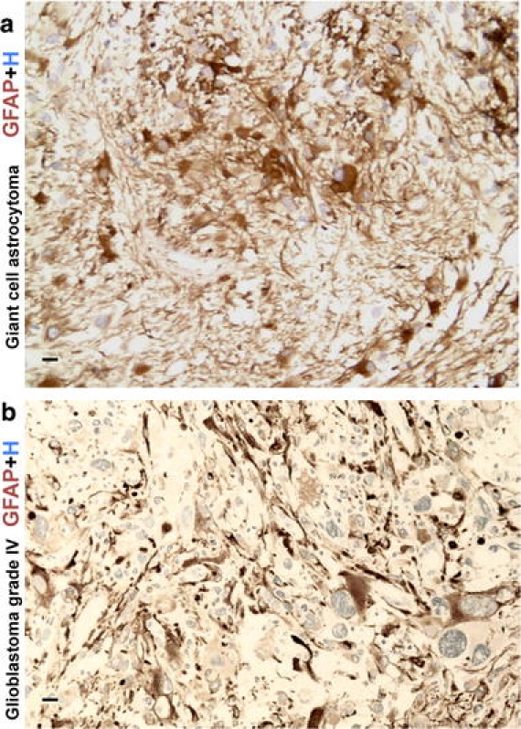 Fig. 8