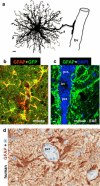 Fig. 1