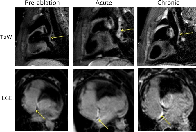 Figure 4