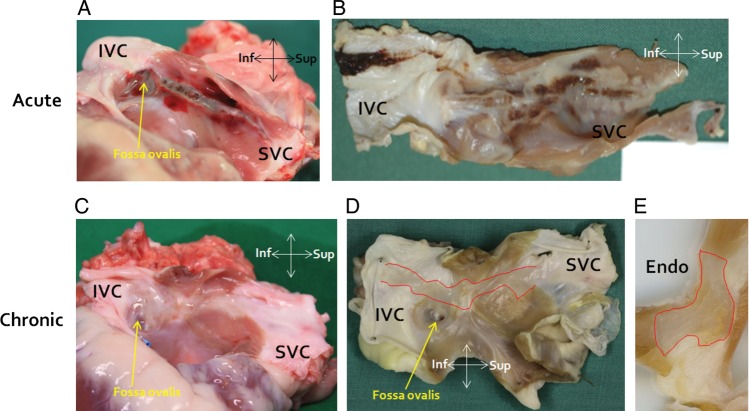 Figure 6