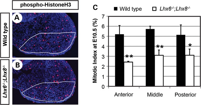 Figure 2.