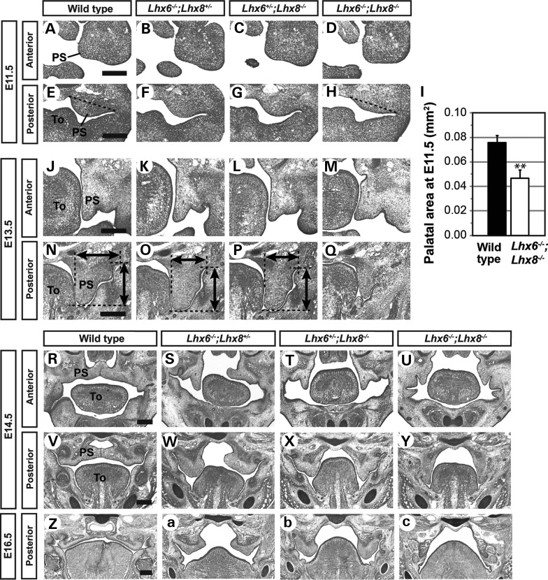 Figure 1.