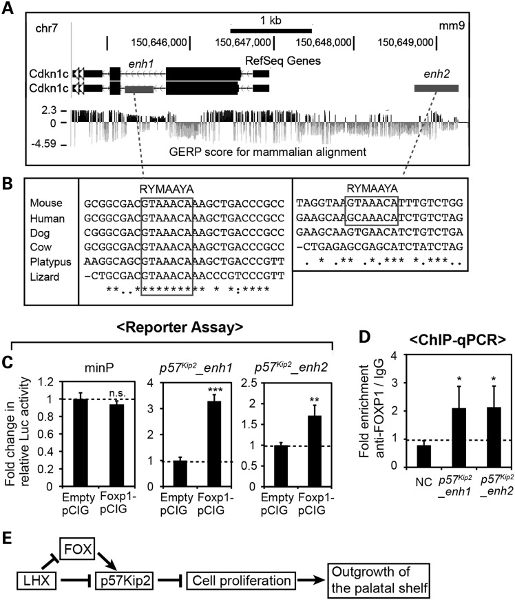 Figure 10.