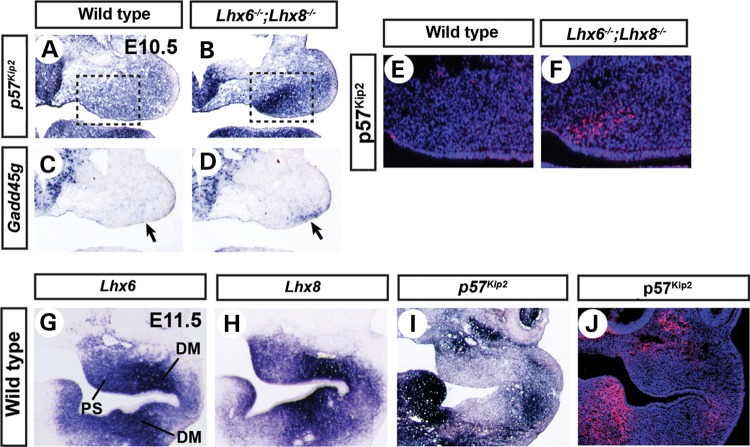 Figure 4.