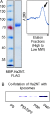 FIGURE 7: