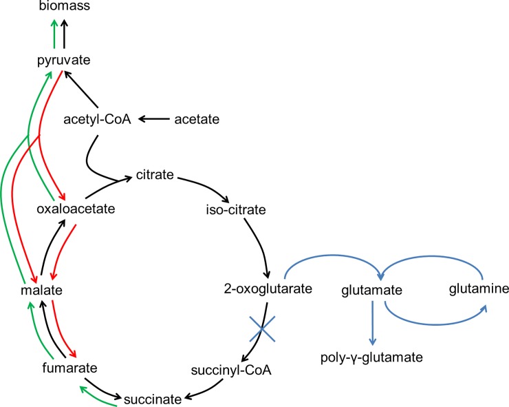 Fig 6