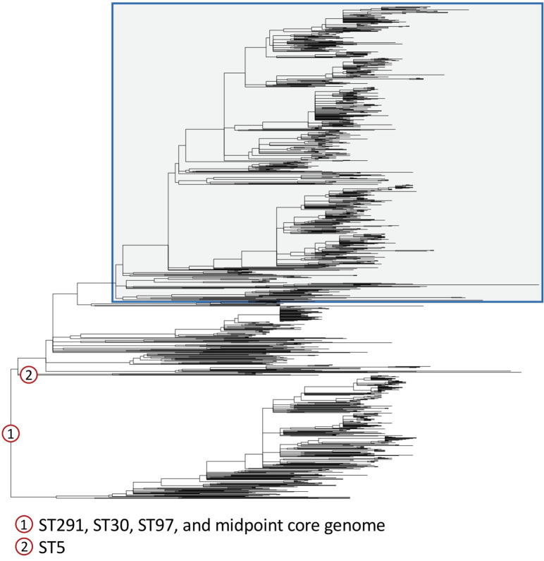 Figure 1—figure supplement 2.