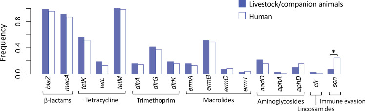 Figure 5.