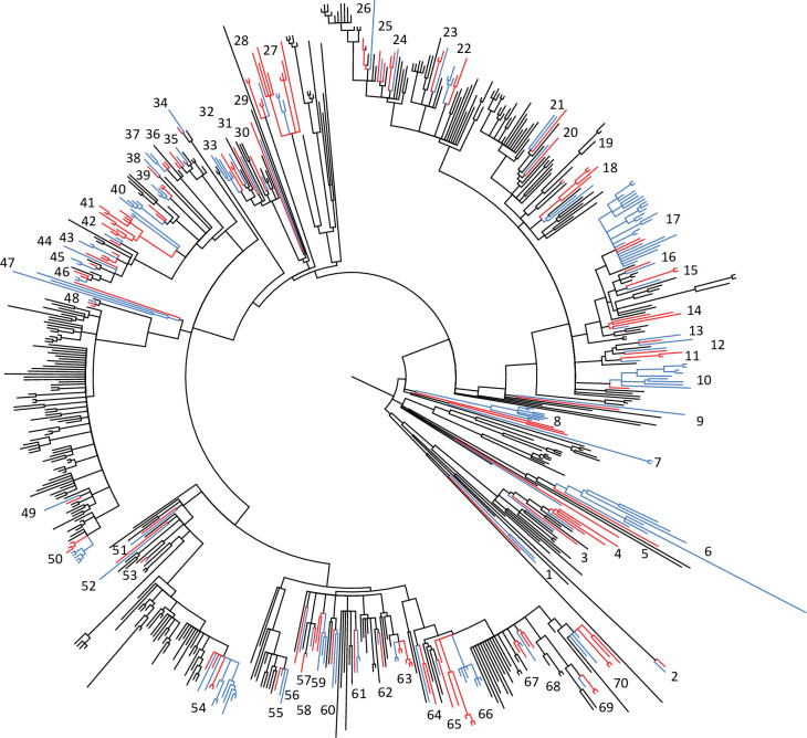 Figure 5—figure supplement 3.