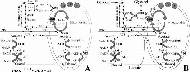 FIG. 8.